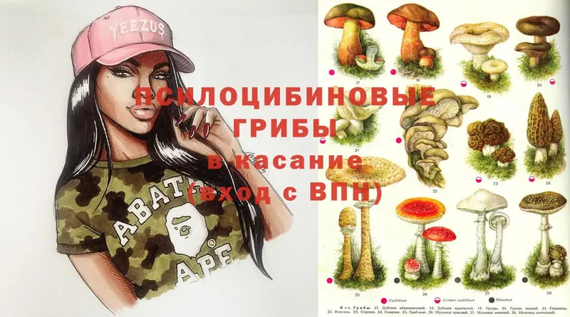 Галлюциногенные грибы Magic Shrooms  MEGA ссылка  Олонец 